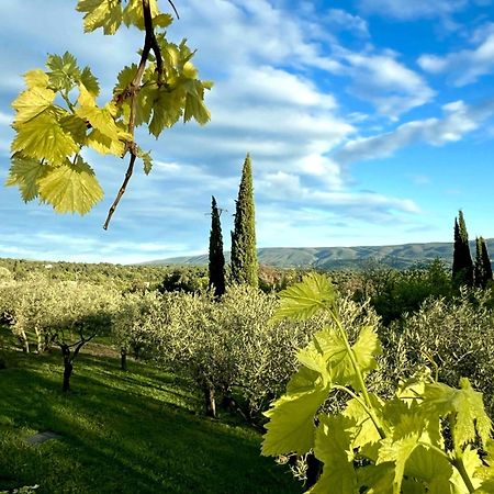 ゴルド Provence Km28 Bed & Breakfast エクステリア 写真