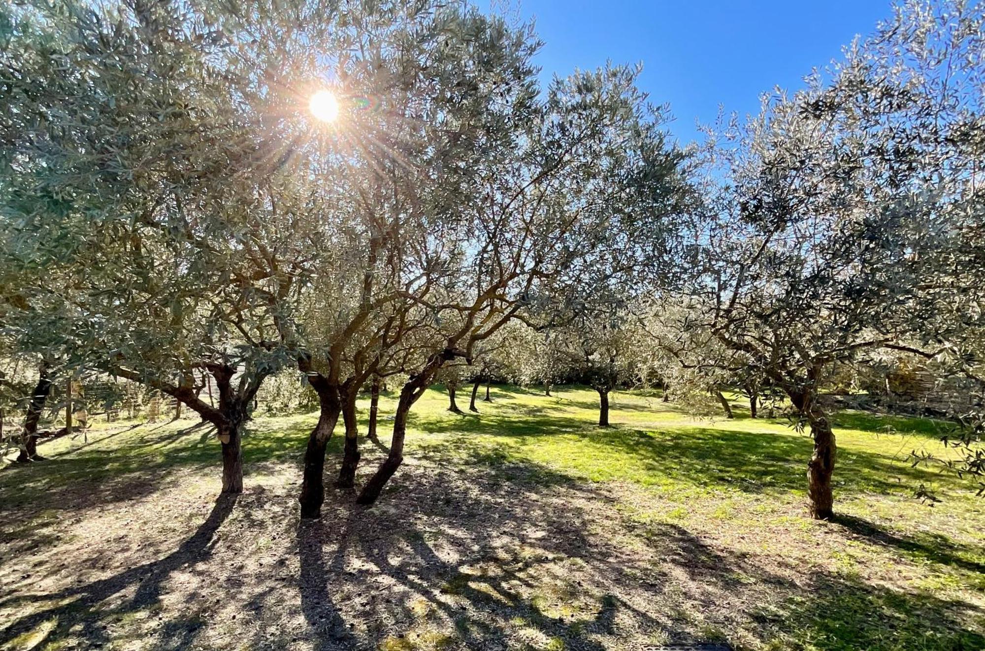 ゴルド Provence Km28 Bed & Breakfast エクステリア 写真