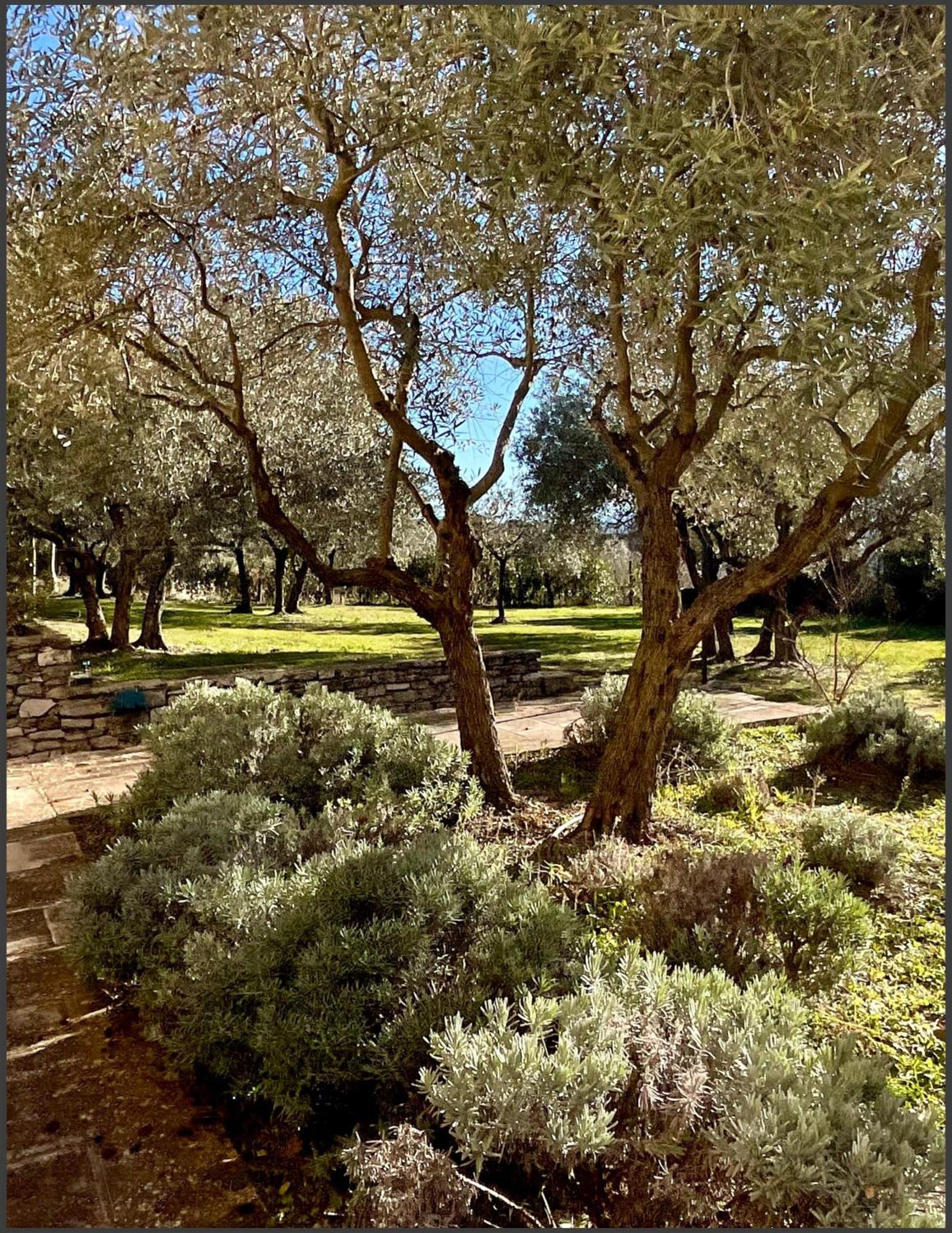ゴルド Provence Km28 Bed & Breakfast エクステリア 写真